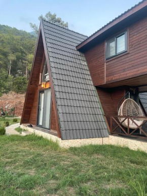 Doğanın İçinde Lüks Jakuzili Balayı Bungalovu(роскошное шале с джакузи)